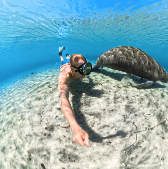 Insta360 X5 Unsichtbares Unterwassergehäuse