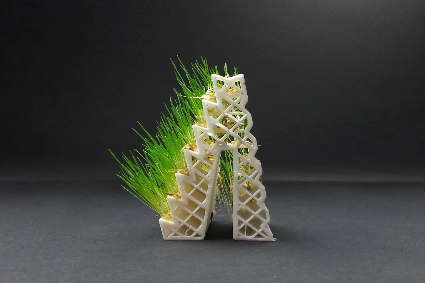 Filamento per stampa 3D Growlay bianco, struttura stampata con crescita di erba