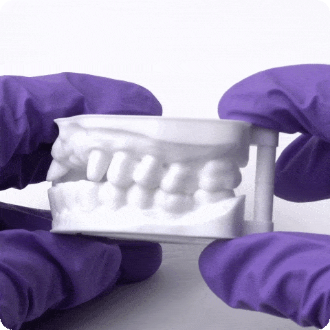 Phrozen Resin Dental Study Model (1KG) - 3Digital | Droni e Stampanti 3D