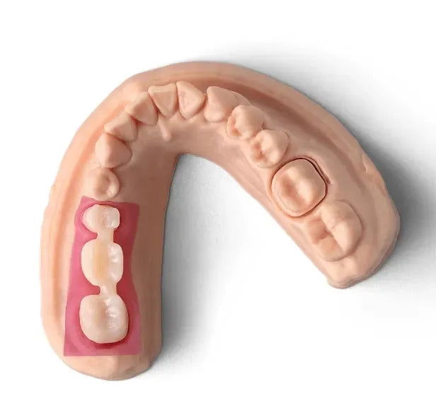 Phrozen Resin Gingiva Mask (0.5KG) - 3Digital | Droni e Stampanti 3D