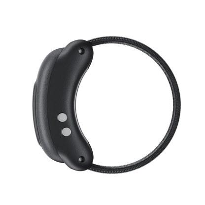 Insta360 Ring Remote
