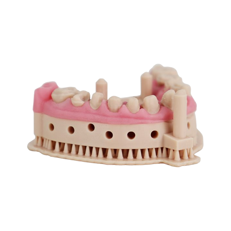 Liqcreate Dental Model Pro