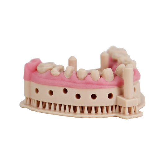 Liqcreate Dental Model Pro