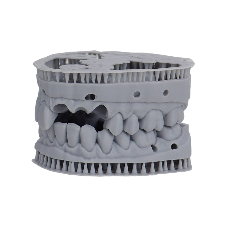 Liqcreate Dental Model Pro