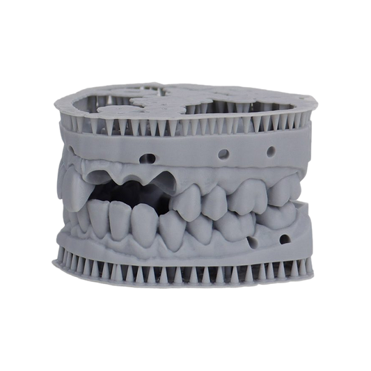 Liqcreate Dental Model Pro