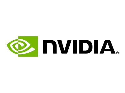 VGA NVIDIA Processore GPU computing L40S