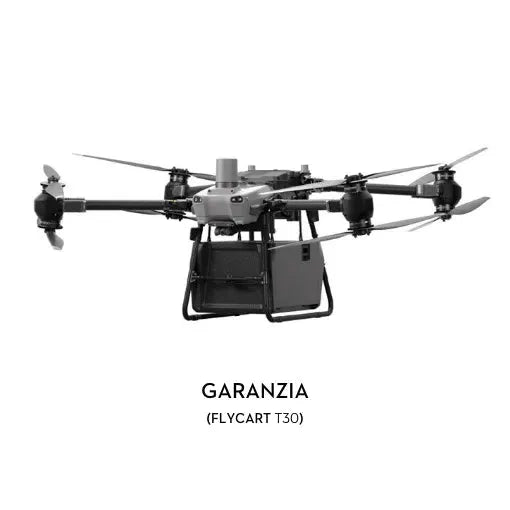 Garanzia 12 mesi DJI FlyCart 30 - 3Digital | Droni e Stampanti 3D