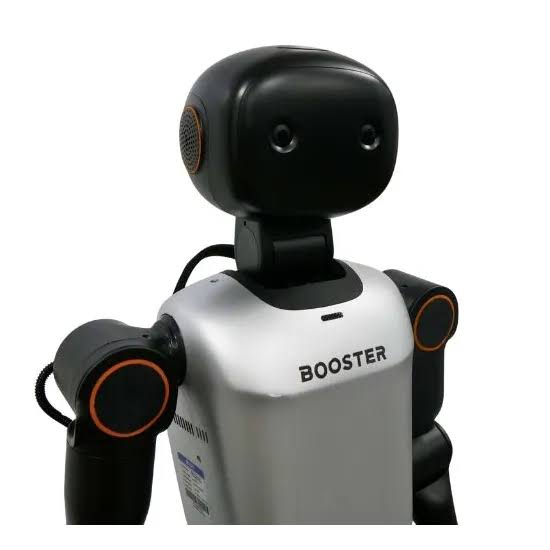 Booster Robotics K1