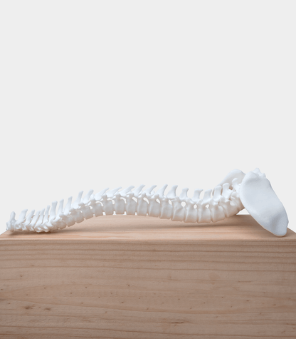 Phrozen Resin Ceramic White (0.5KG) - 3Digital | Droni e Stampanti 3D