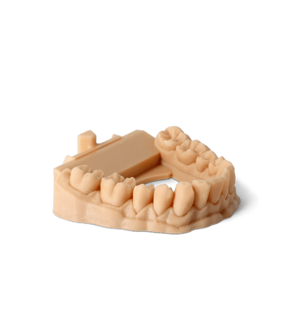 Phrozen Resin Water-Washable Dental Model (1KG) - 3Digital | Droni e Stampanti 3D